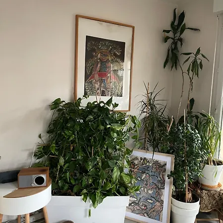 Apartment 2p Terrasse Pres Sites Jo, Dont 3 En Metro Direct Free Wifi